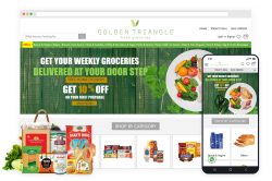 Start Online Grocery Store