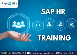 Steps To Success in SAP HR Course at ShapeMySkills