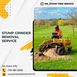 Stump Grinder Removal Service
