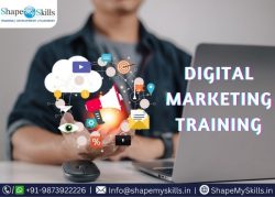 Successful Career in Digital Marketing Course at ShapeMySkills