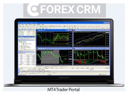 The Best MT4 Trader Portal