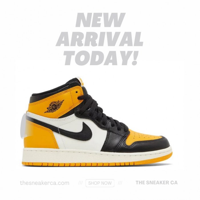 The Sneaker CA | New Arrival Today!