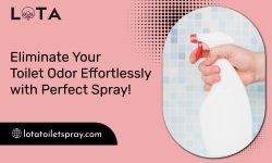 Stay Safe and Hygiene with Our Toilet Spray!