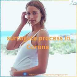 Trusted Surrogate Process in Corona, CA – Flying Stork Surrogacy