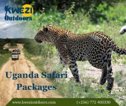 Uganda Safari Packages