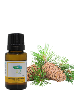 Cedarwood (Atlas) Organic Essential Oil
