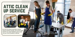 Clean-Up Services Redefined for a Refined Space