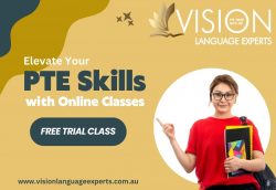 Vision Language Experts: Elevate Your PTE Skills with Online Classes