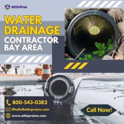 Bay Area’s Trusted Water Drainage Experts – Solutions Beyond Expectations