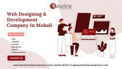 Top-notch Web Designing Company In Mohali | Baseline IT Development