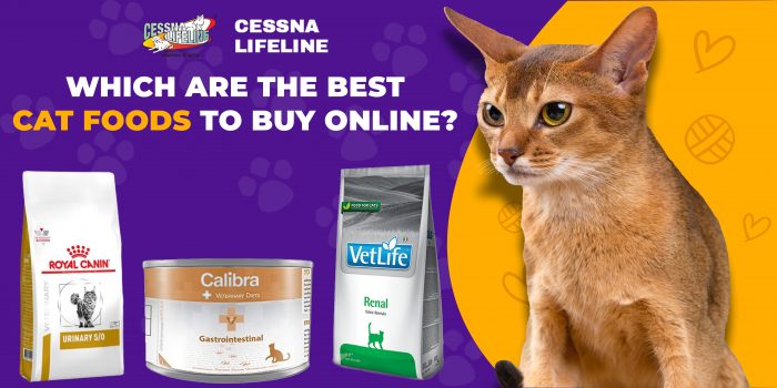 Which Are The Best Cat Foods To Buy Online?