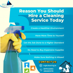 Newross, Wexford’s Premier Cleaning Service: Exceptional, Eco-Friendly, and Tailored to You!