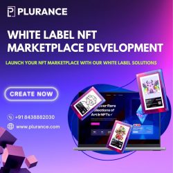 Plurance – white label NFT Marketplace Development