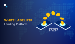 Experience Affordable White Label P2P Lending Platform Development