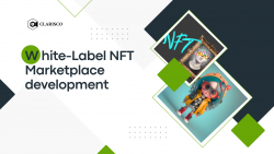 The Rise of White-Label NFT Platforms