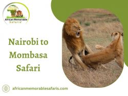 From City to Coast: Nairobi to Mombasa Safari Adventure