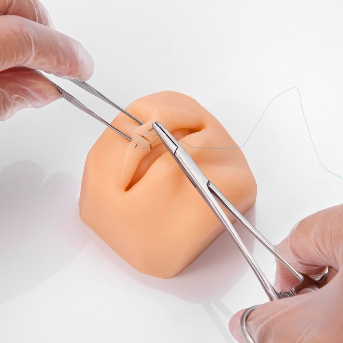 Ultrassist Soft Silicone Mouth Model for Practicing Suture, Lip Tattoo