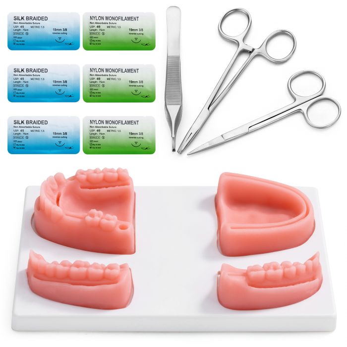 Ultrassist Dental Suture Practice Kit for Student Gum Cutting & Gingival Suturing