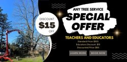 Teacher Appreciation Special: $15 OFF Tree Services in Buffalo, NY!