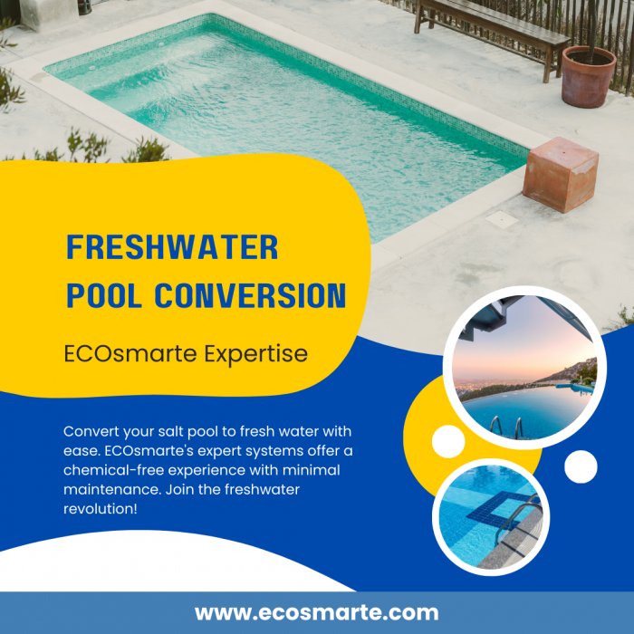 Copper Pool Ionizer