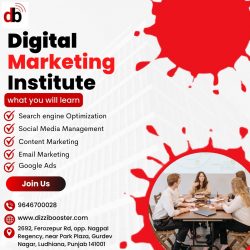 Master the Art of Digital Marketing with Ludhiana’s Premier Institute | Dizzibooster