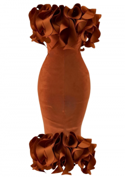 Unveiling Elegance: The Spiral flame dress