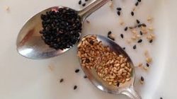 A Comparison of Hulled and Unhulled Sesame Seeds