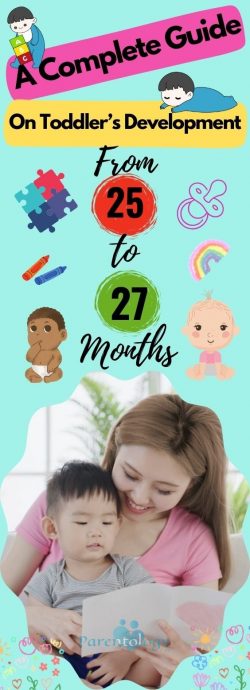 Comprehensive Insights into Toddler Development: A Guide from 25 to 27 Months