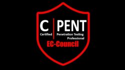 Enhance Your Cybersecurity Skills With CPENT Training In Pune | WebAsha Technologies