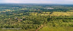 Anugraha Farms Introduces Exclusive Agricultural Land for Sale in Bangalore.