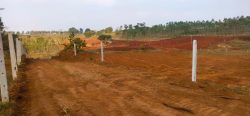 Sustainable Living Starts Here: Anugraha Farms’ Eco – Friendly Farm Land For Sale in ...