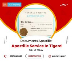 Apostille service in Tigard