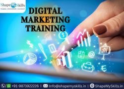 Apply Your Knowledge with Digital Marketing Training at ShapeMySkills