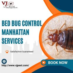 Battling Bed Bugs in Manhattan: Effective Strategies for Pest Control and Prevention