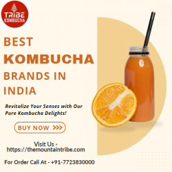 Discover India’s Finest with Mountain Tribe Kombucha – Among the Best Kombucha Brands
