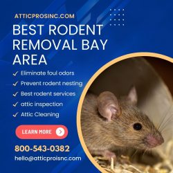 Reliable Rodent Exclusion: Comprehensive Pest Defense