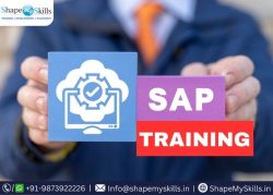 Best SAP Training in Noida at ShapeMySkills
