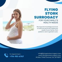 Your Affordable Surrogacy Agencies in Corona | Flying Stork Surrogacy