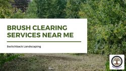 Switchback Landscaping: Your Trusted Choice for Brush Clearing Services Near Me