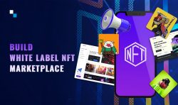 Empower Your Vision: Antier’s Guide to Build White Label NFT Marketplace