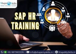 Build Your Career with SAP HR Training in Noida at ShapeMySkills