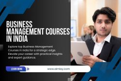 The Basic Details About Business Management Courses in India