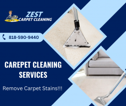 Get Professional Carpet Cleaning Services