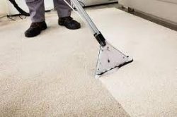 Best in Clean: Melbourne’s Finest Carpet Cleaning Services