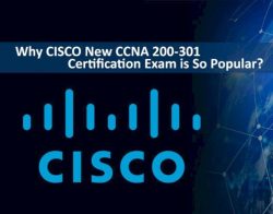 Join Our CCNA Training Center in Pune | WebAsha Technologies