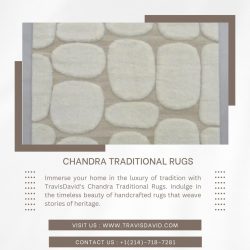 Chandra Traditional Rugs