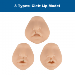 Ultrassist Cleft Lip Repair Suture Training Simulator, Unilateral/Bilateral