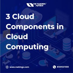 3 Cloud Components in Cloud Computing