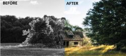Bringing History to Life: Colorizing Black and White Photos with Pixbim Color Surprise AI