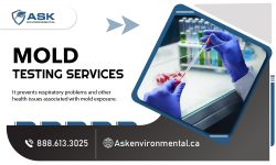 Comprehensive Mold Assessment and Analysis